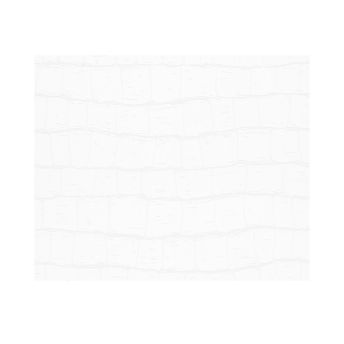 Vliestapete überstreichbar 25 m x 1,06 m