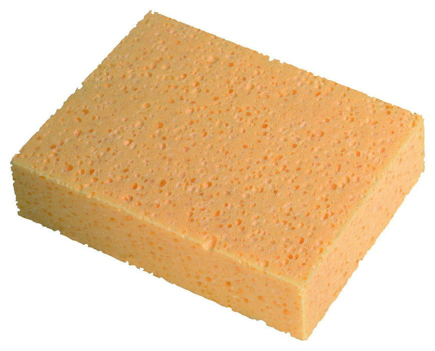 Abwasch-Schwamm
